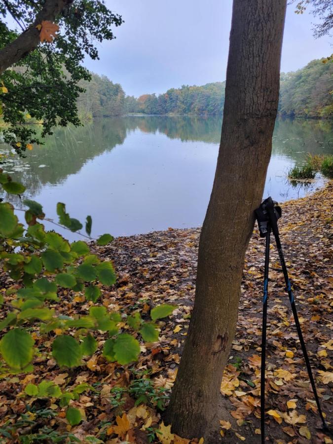 Lake Houselubniewice Domek Caloroczny Z Jacuzzi Blisko Jeziora Exteriör bild